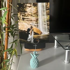 Blue pineapple photo holder
